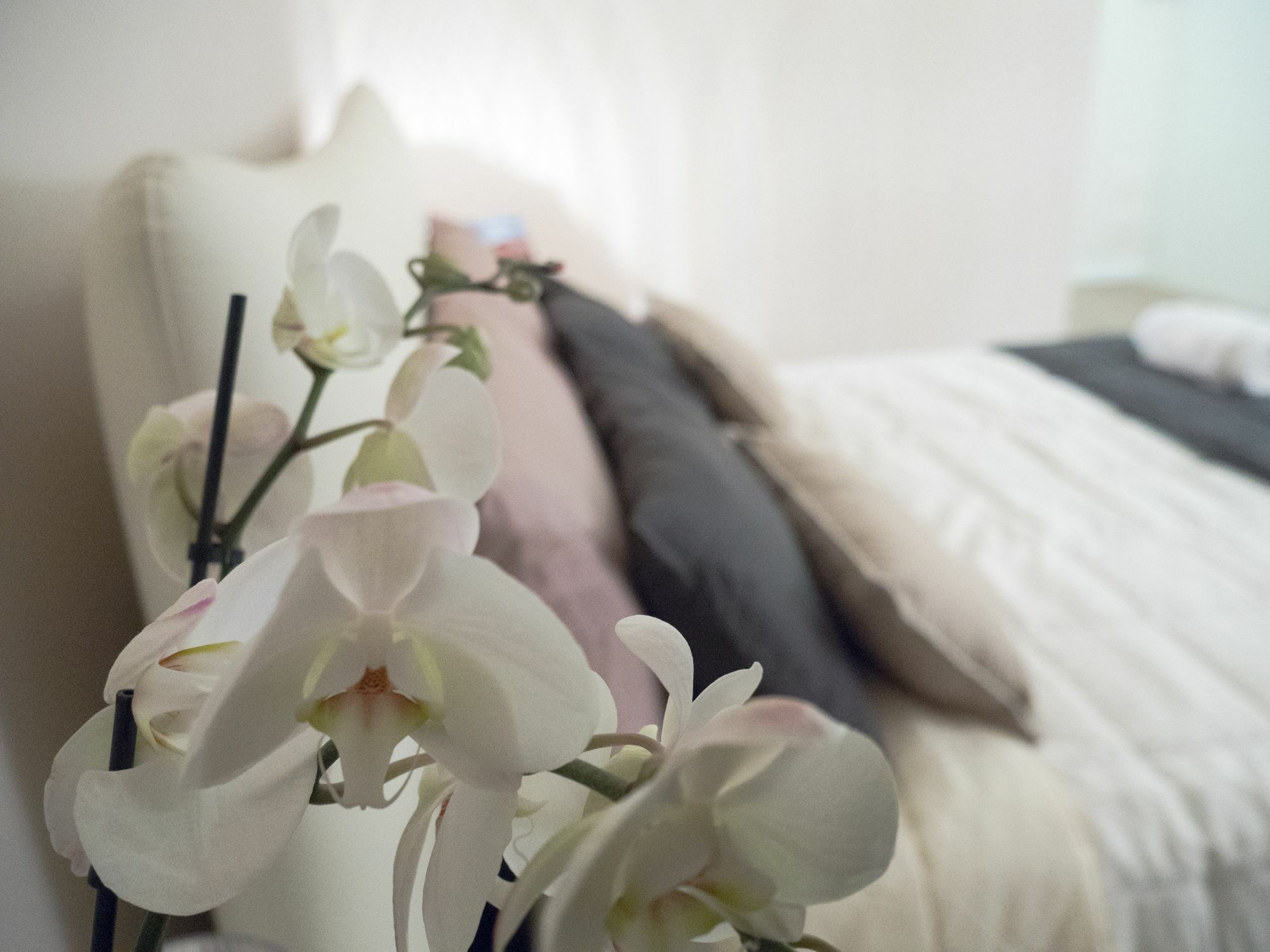Relais Love Верона Екстер'єр фото